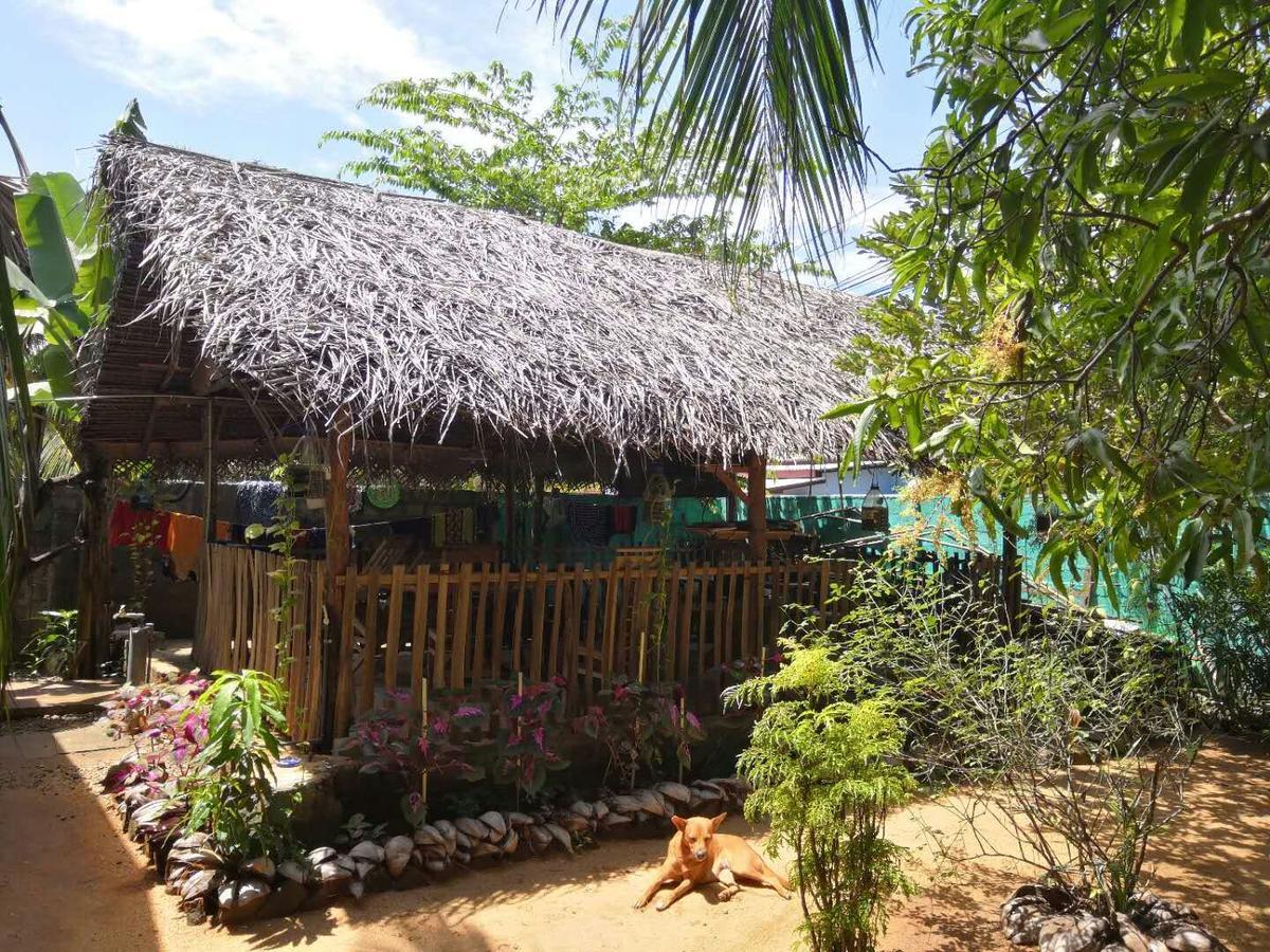 Alass Ga For Pets Lovers Trincomalee Eksteriør billede