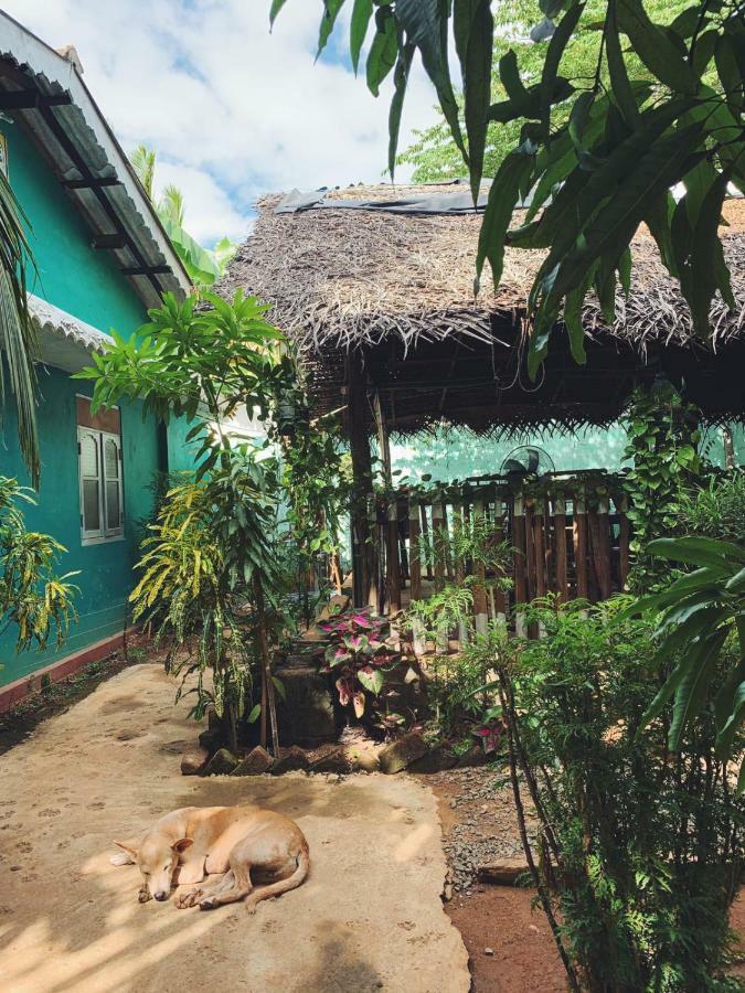 Alass Ga For Pets Lovers Trincomalee Eksteriør billede